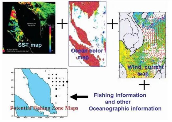 fishery distribution by satellite data