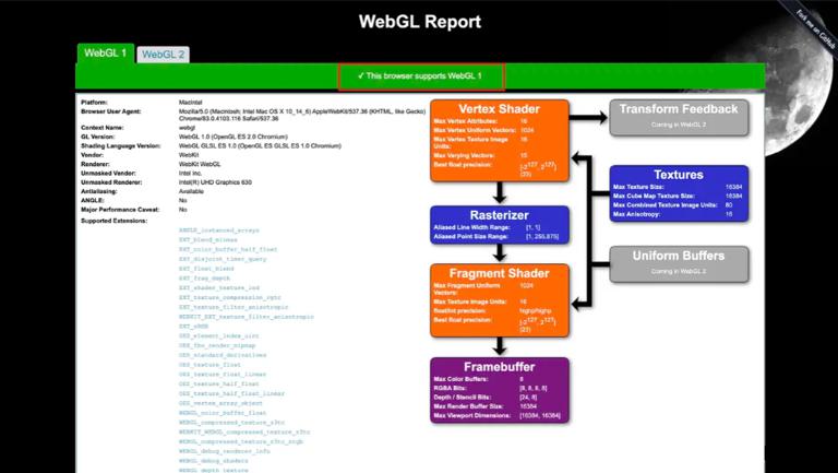 Visit WebGL Report