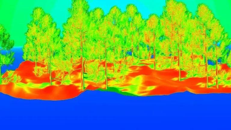 The development of forestry remote sensing technology